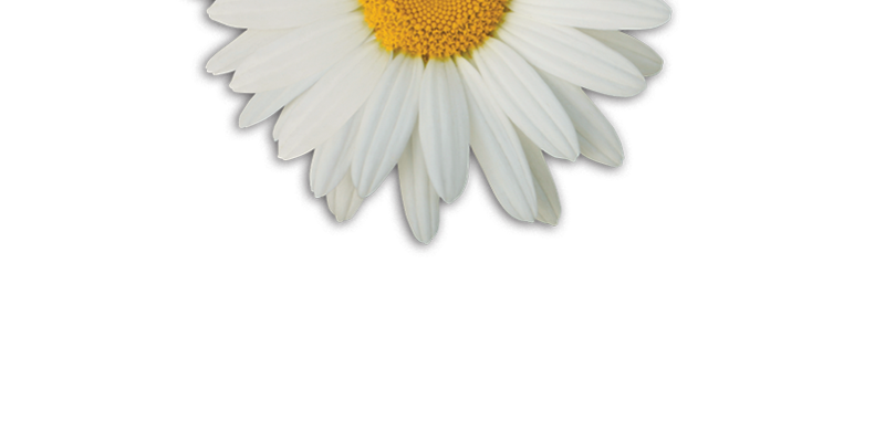 CalvertHealth Daisy Award for Nurses
